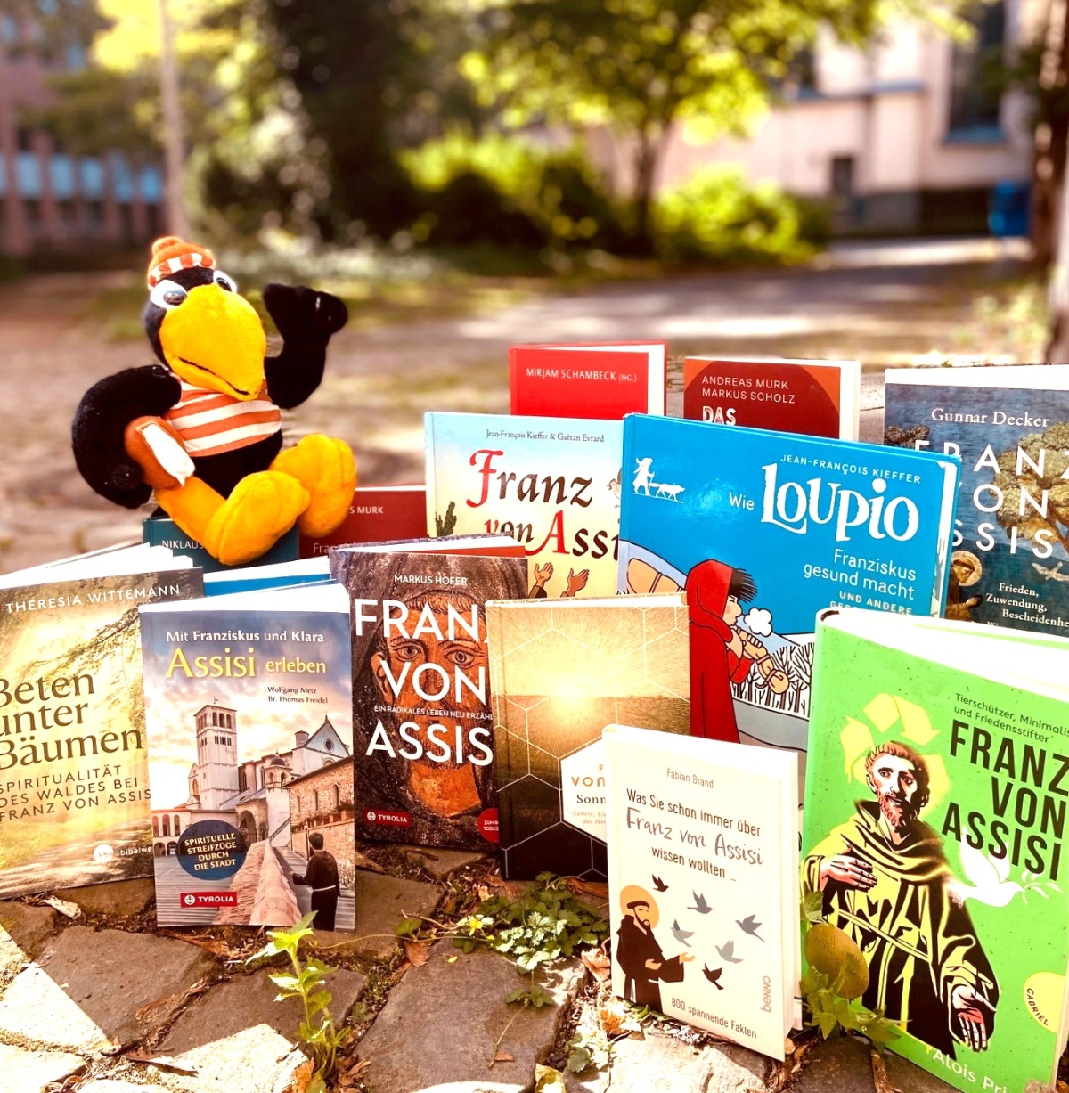 Bücher zum Heiligen Franziskus
