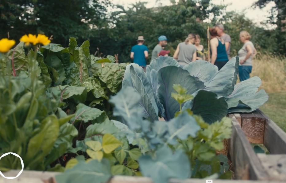Titelfoto Video Frechen-Königsdorf