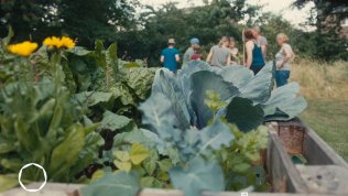 Titelfoto Video Frechen-Königsdorf