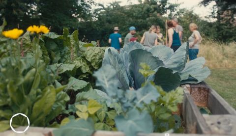Titelfoto Video Frechen-Königsdorf
