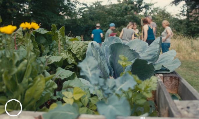 Titelfoto Video Frechen-Königsdorf