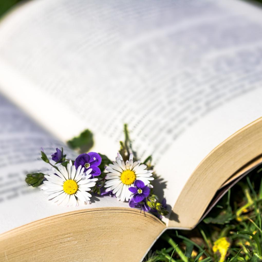 Ein aufgeschlagenes Buch, in dem Blumen liegen