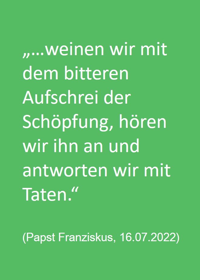 Zitat Papst Franziskus: Weinen wir