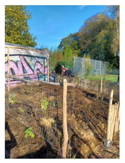 BiCK-Projekt Liebfrauen Hennef-Warth