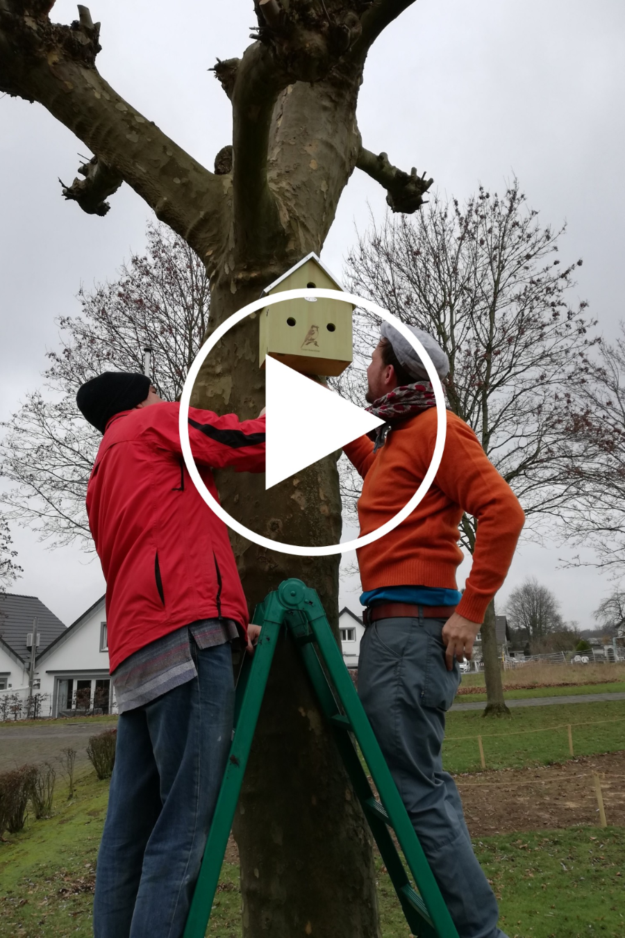 St. Engelbert Voiswinkel - Aufhängung Nistkasten