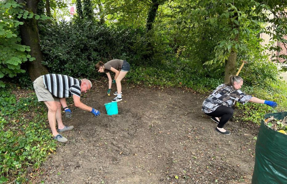 BiCK St. Konrad Wuppertal - Entfernung Efeu