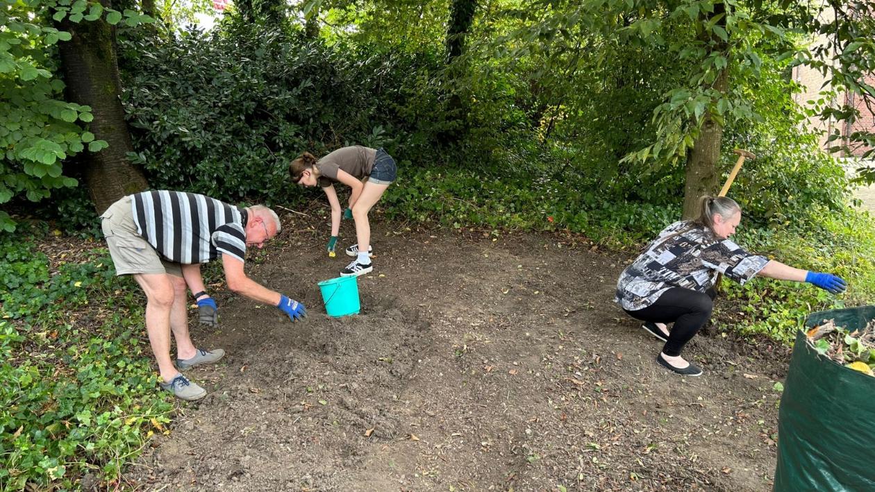 BiCK St. Konrad Wuppertal - Entfernung Efeu