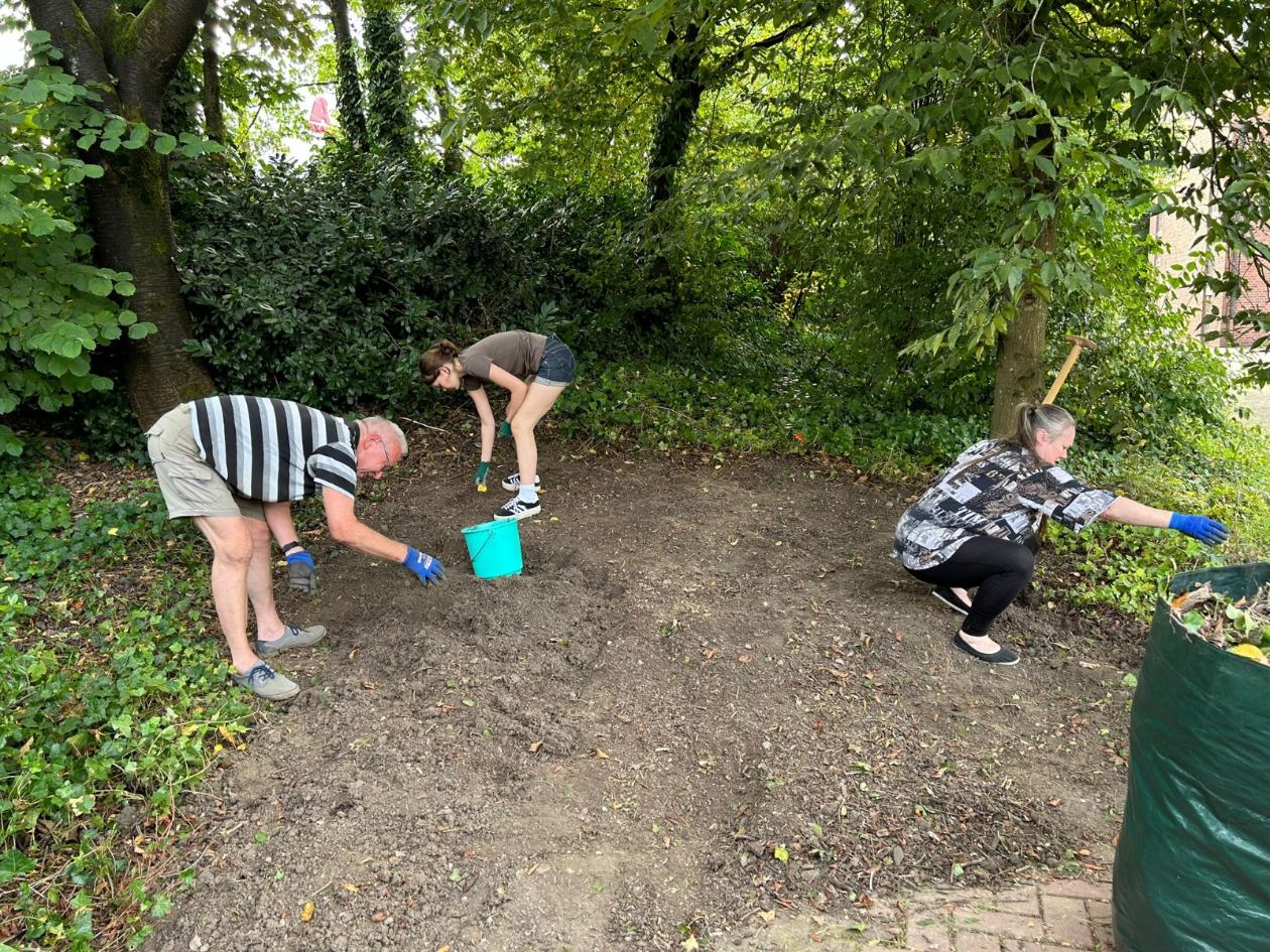 BiCK St. Konrad Wuppertal - Entfernung Efeu