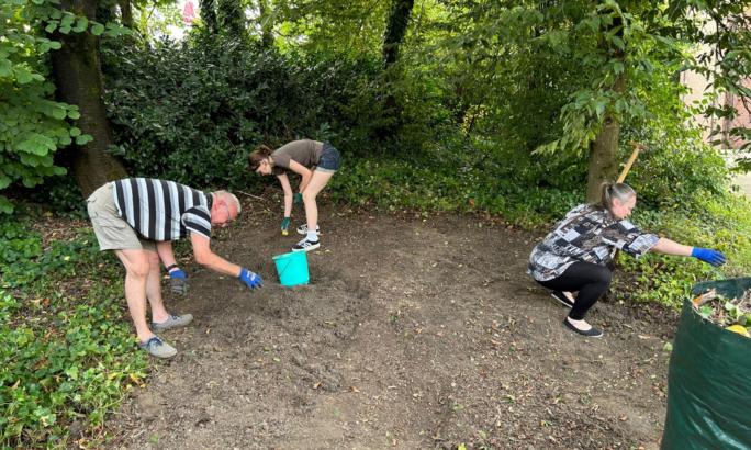 BiCK St. Konrad Wuppertal - Entfernung Efeu