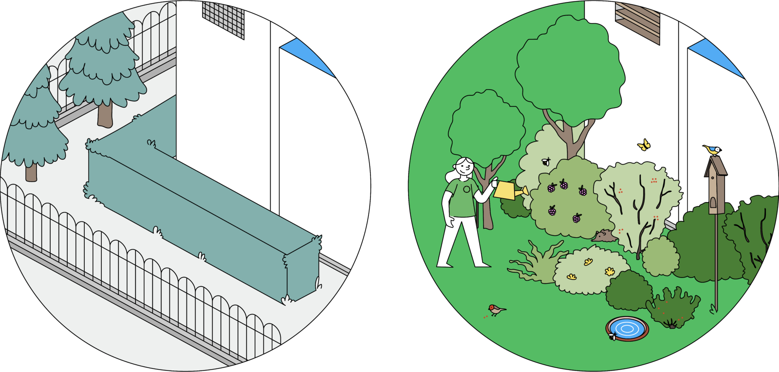 Illustration Hecke Paar