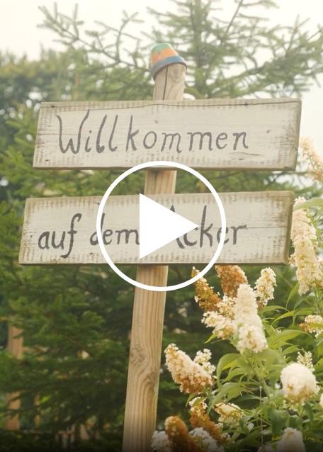 Video Bibelgarten