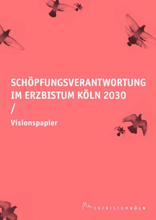 Vision_